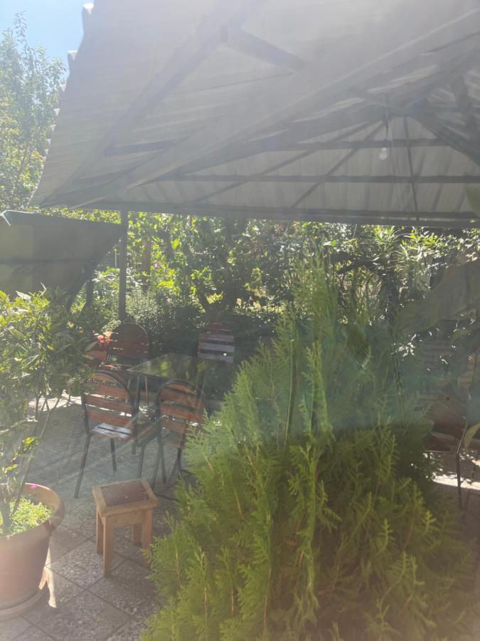 Cozy Space In Tbilisi Eksteriør billede